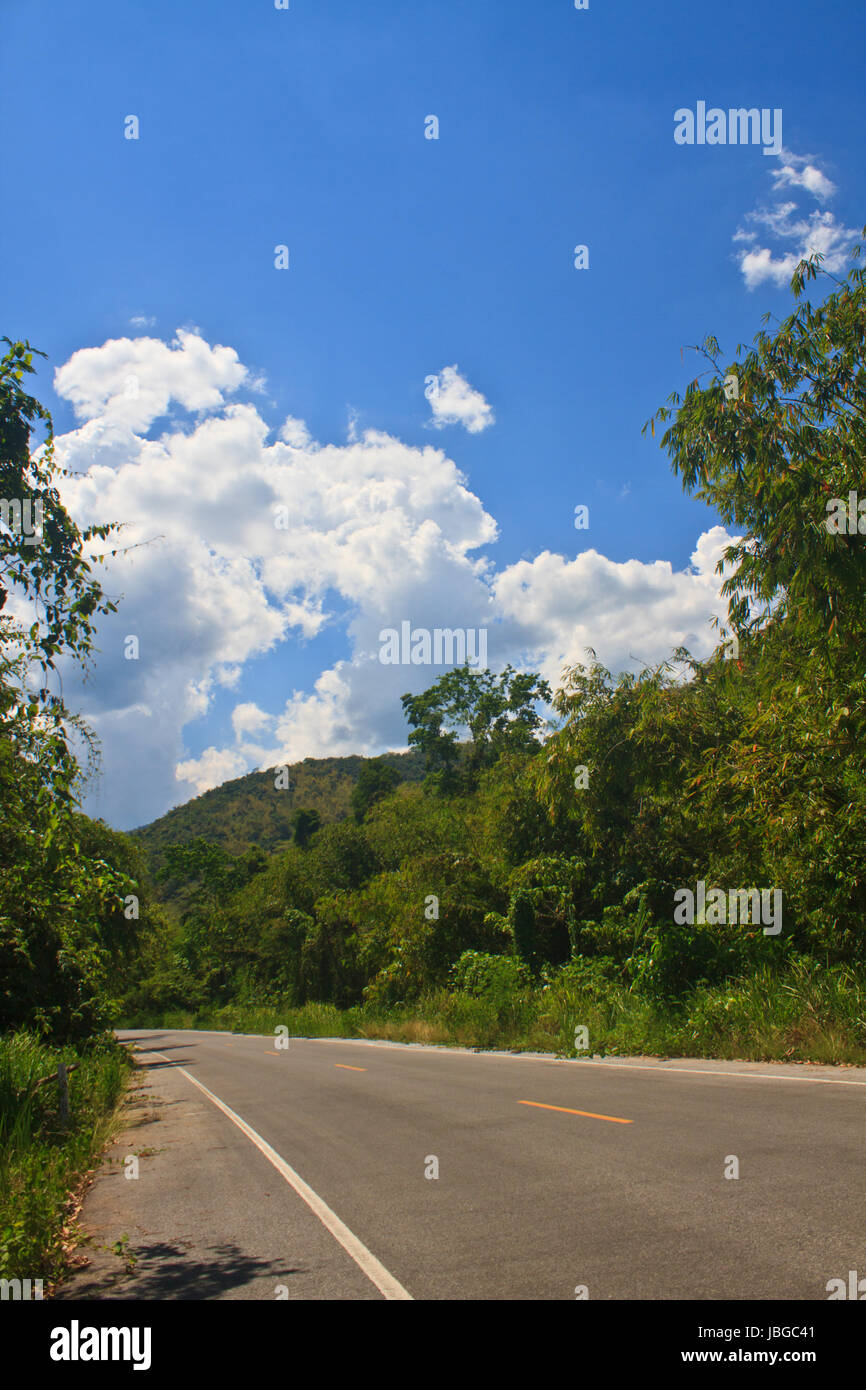 Road in a green forest, national park Stock Photo Alamy