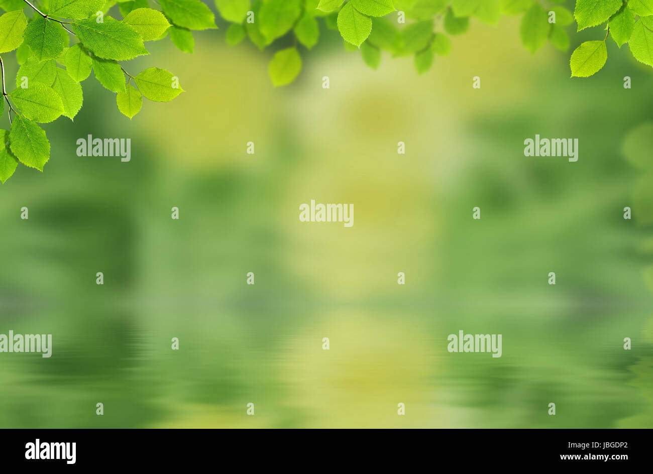 Nature: leaves and drop of water with green background Stock Photo - Alamy