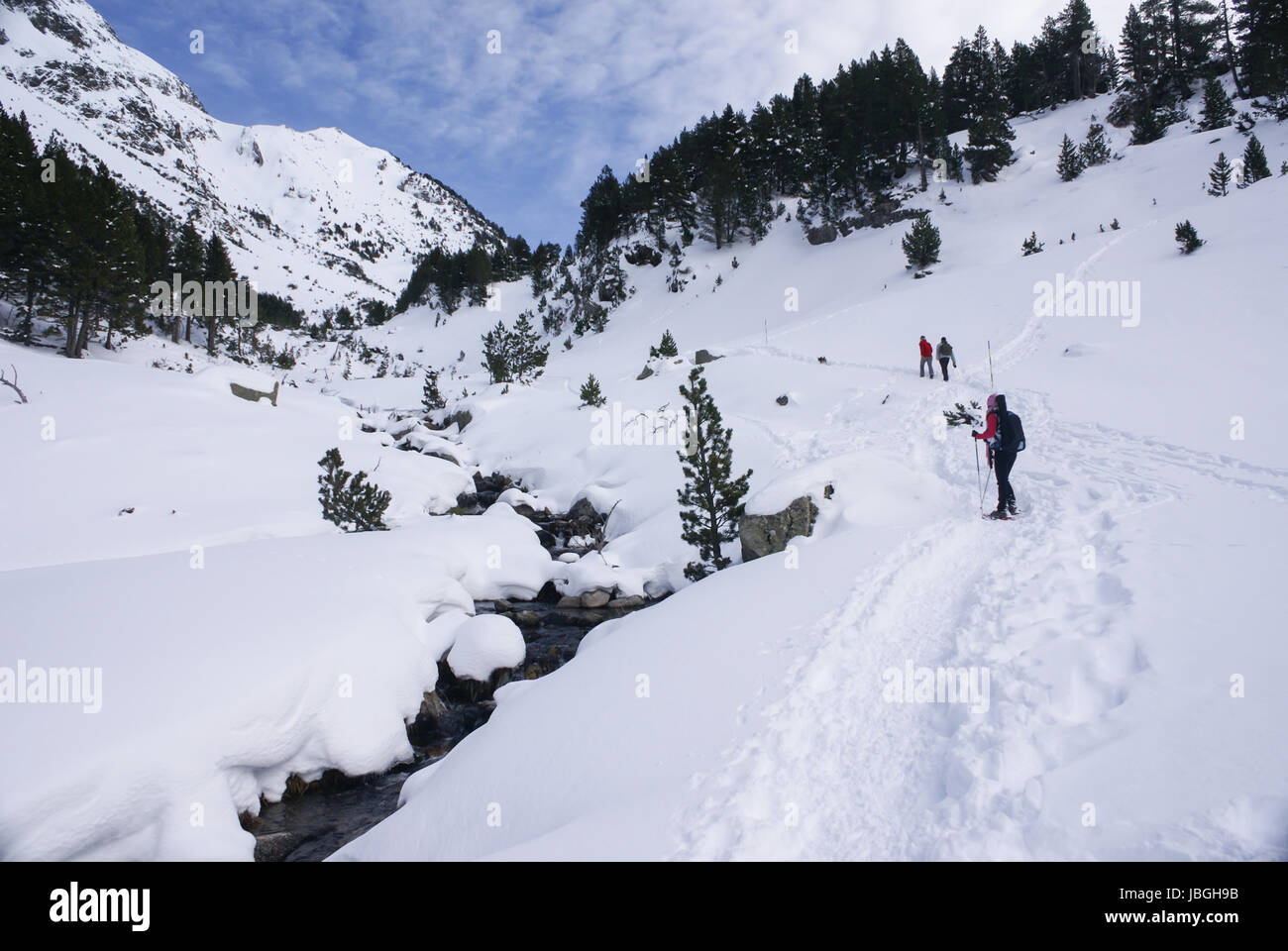 Skiing, winter, skiers on ski run, mountain Pyrenees Stock Photo