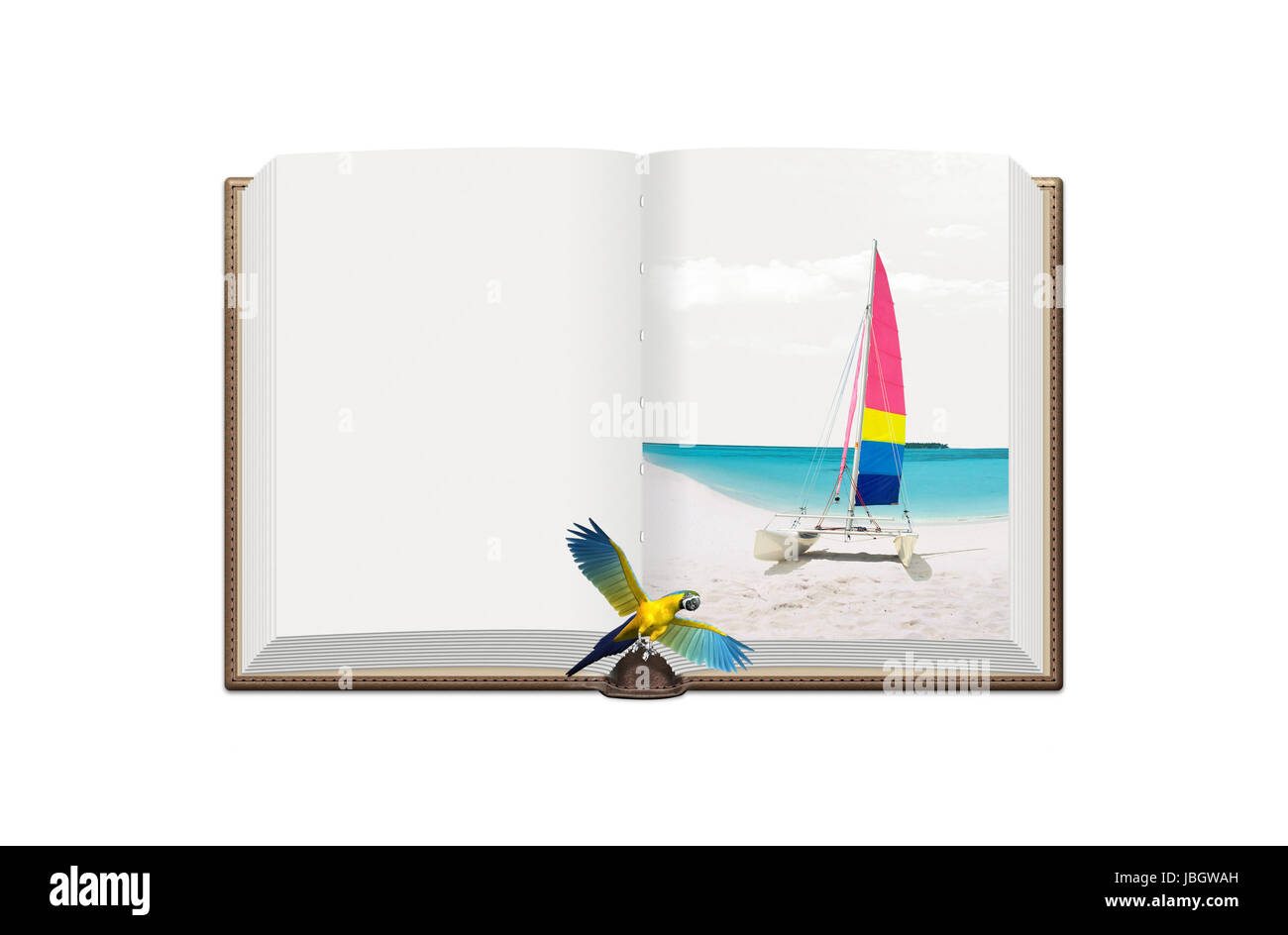 Book with photo and parrot on isolated background Stock Photo