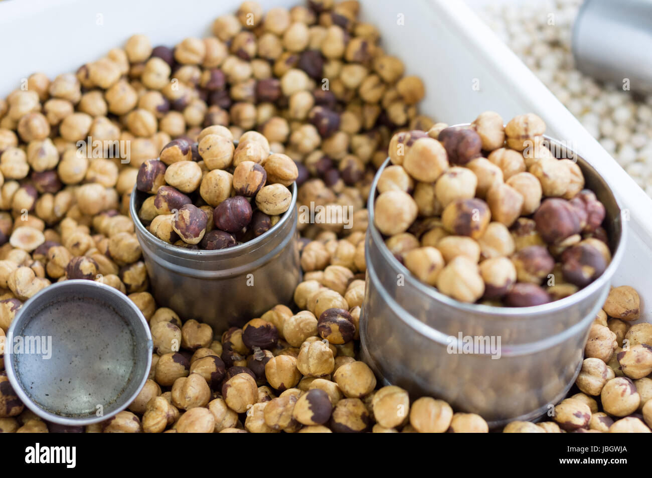 A hazelnut is the nut of the hazel and is also known as cobnut or