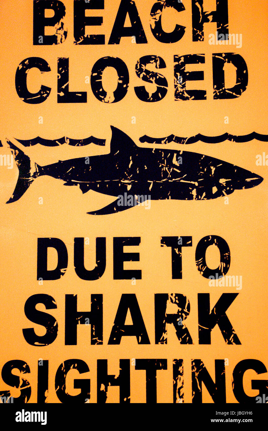 Warning sign Beach closed due to shark sighting. Signboard taken