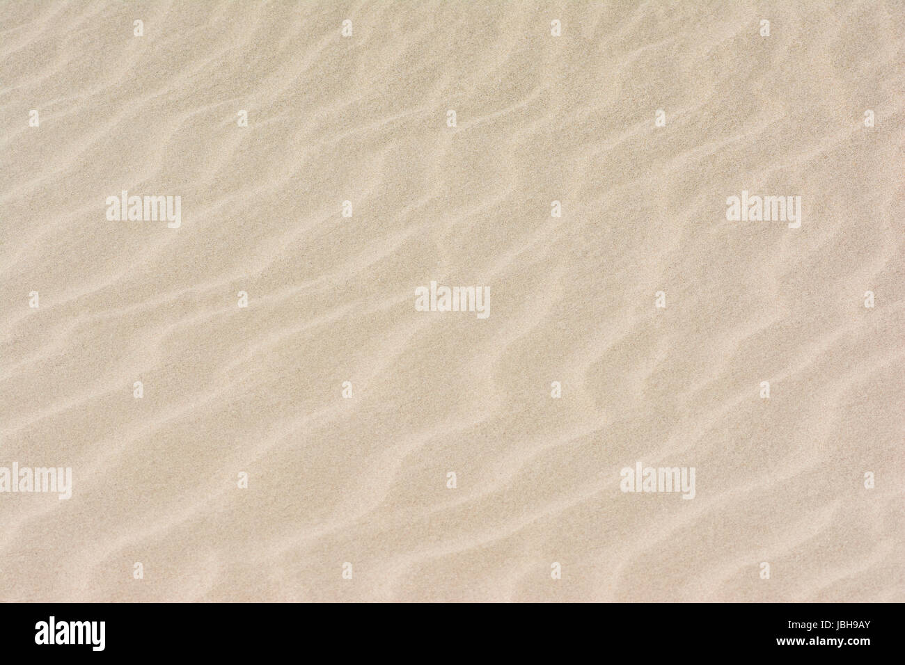 Bildfüllende Sandfläche als Hintergrund. Stock Photo