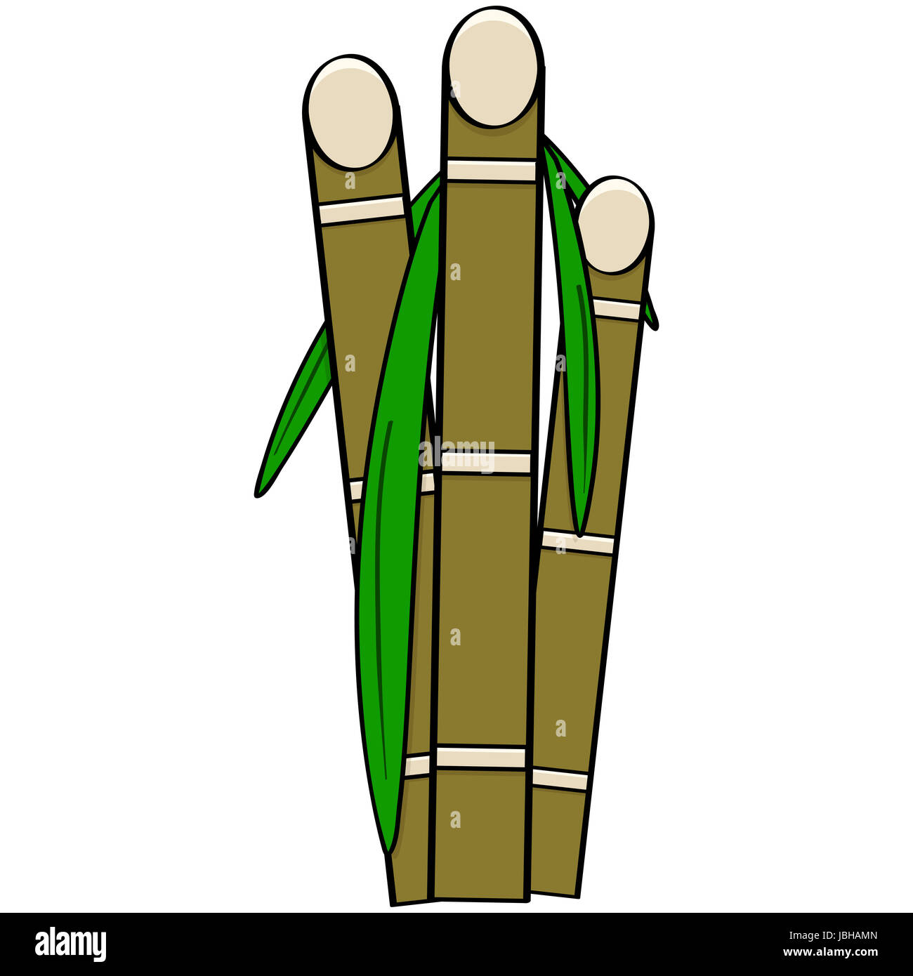 Cartoon illustration showing three stalks of sugar cane with leaves Stock  Photo - Alamy