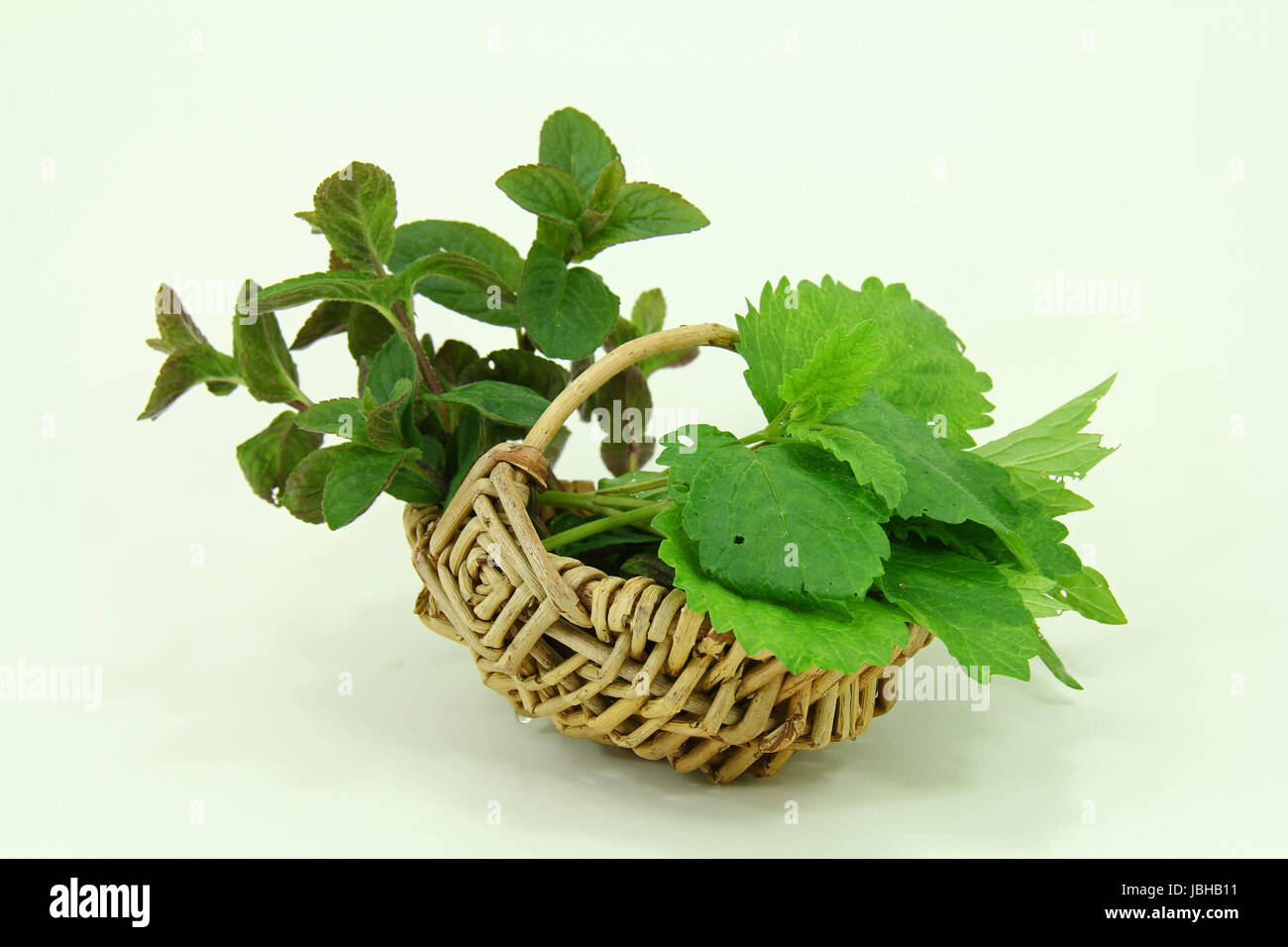 peppermint herbs Stock Photo