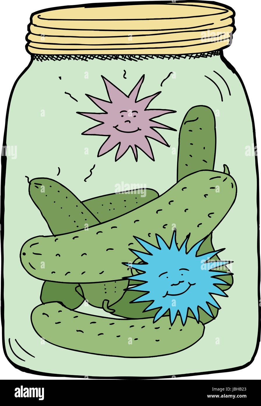 Happy bacteria in jar of pickles on white background Stock Photo Alamy