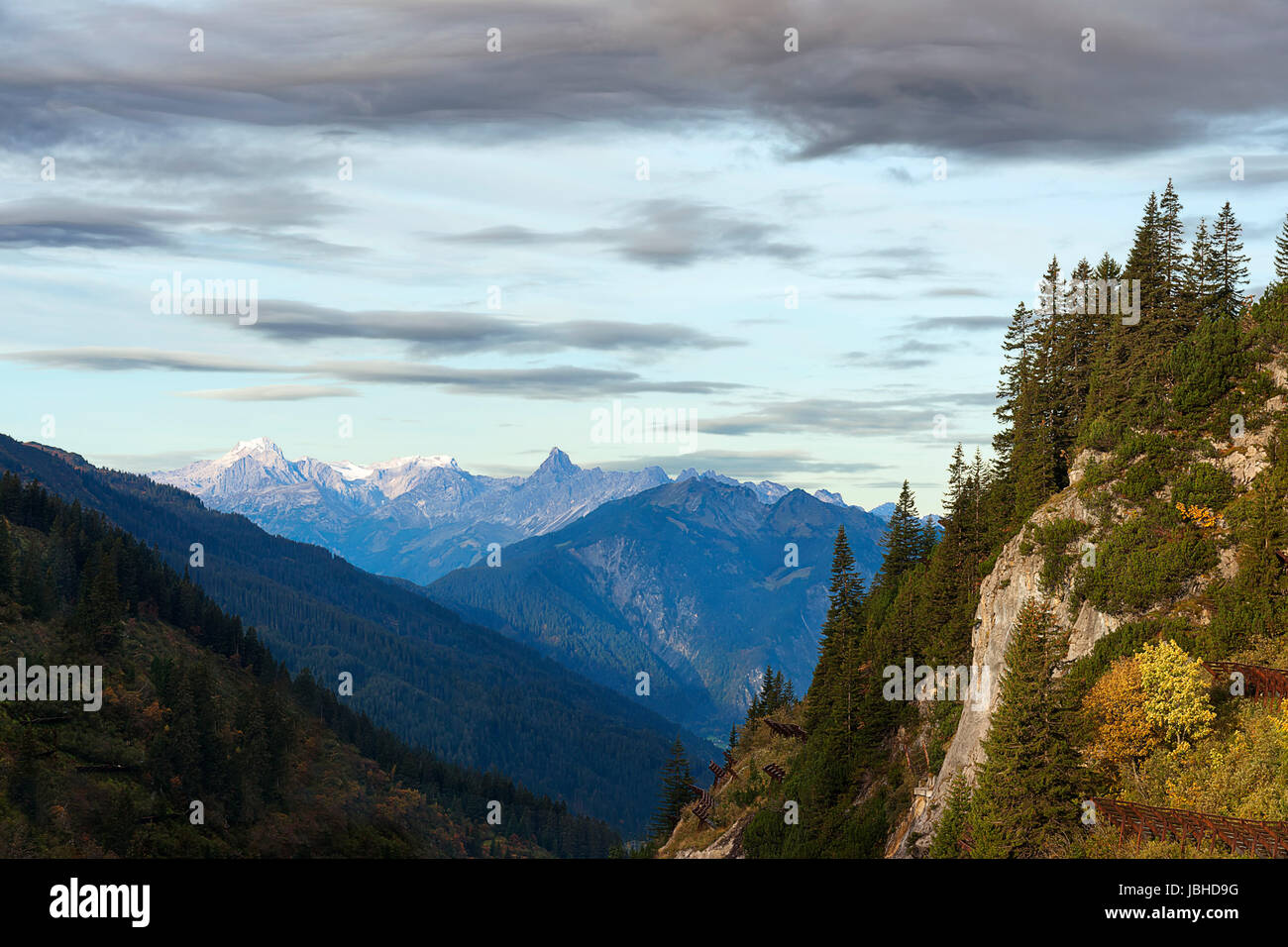 SONY DSC Stock Photo