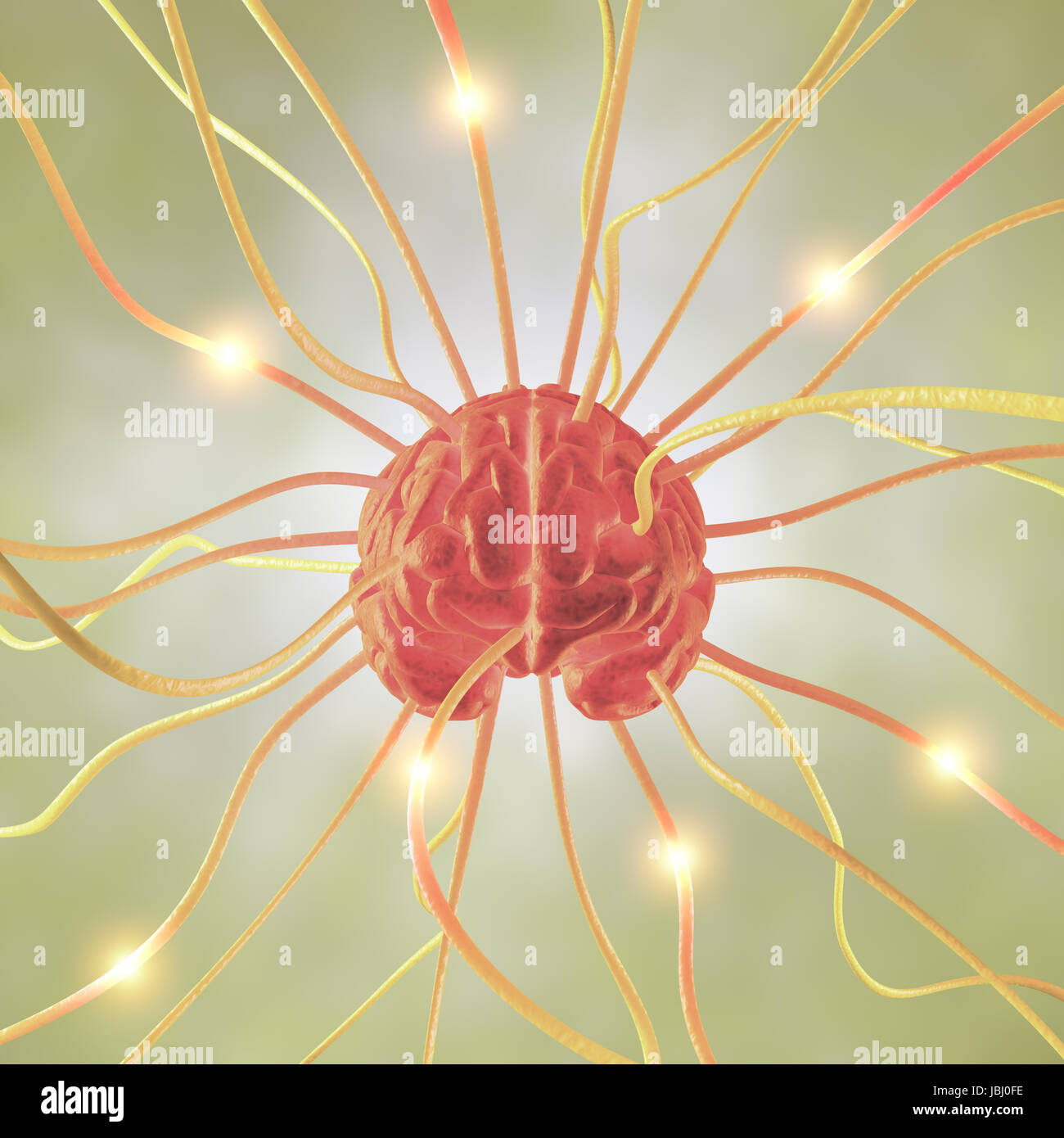 Granule Nerve Cell High Resolution Stock Photography and Images - Alamy