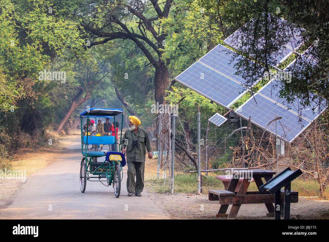 Cycle rickshaw walking in Keoladeo Ghana National Park in Bharatpur, Rajasthan, India. The park was declared a protected sanctuary in 1971 and it is a Stock Photo