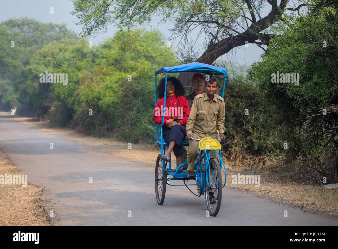 Visitors riding cycle rickshaw in Keoladeo Ghana National Park in Bharatpur, Rajasthan, India. The park was declared a protected sanctuary in 1971 and Stock Photo