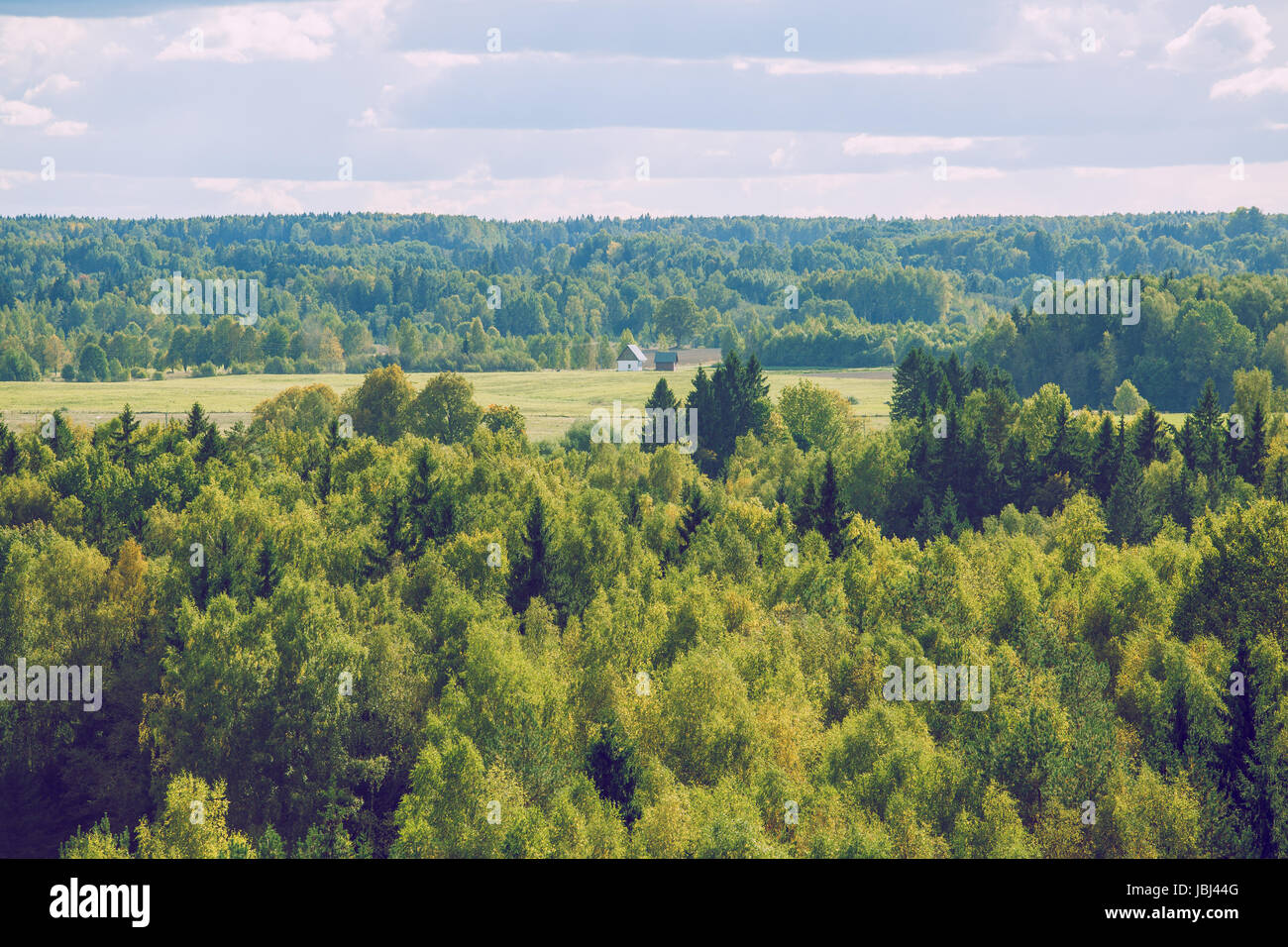 Forest from sky in Latvia, Ligatne. 2015 Stock Photo - Alamy