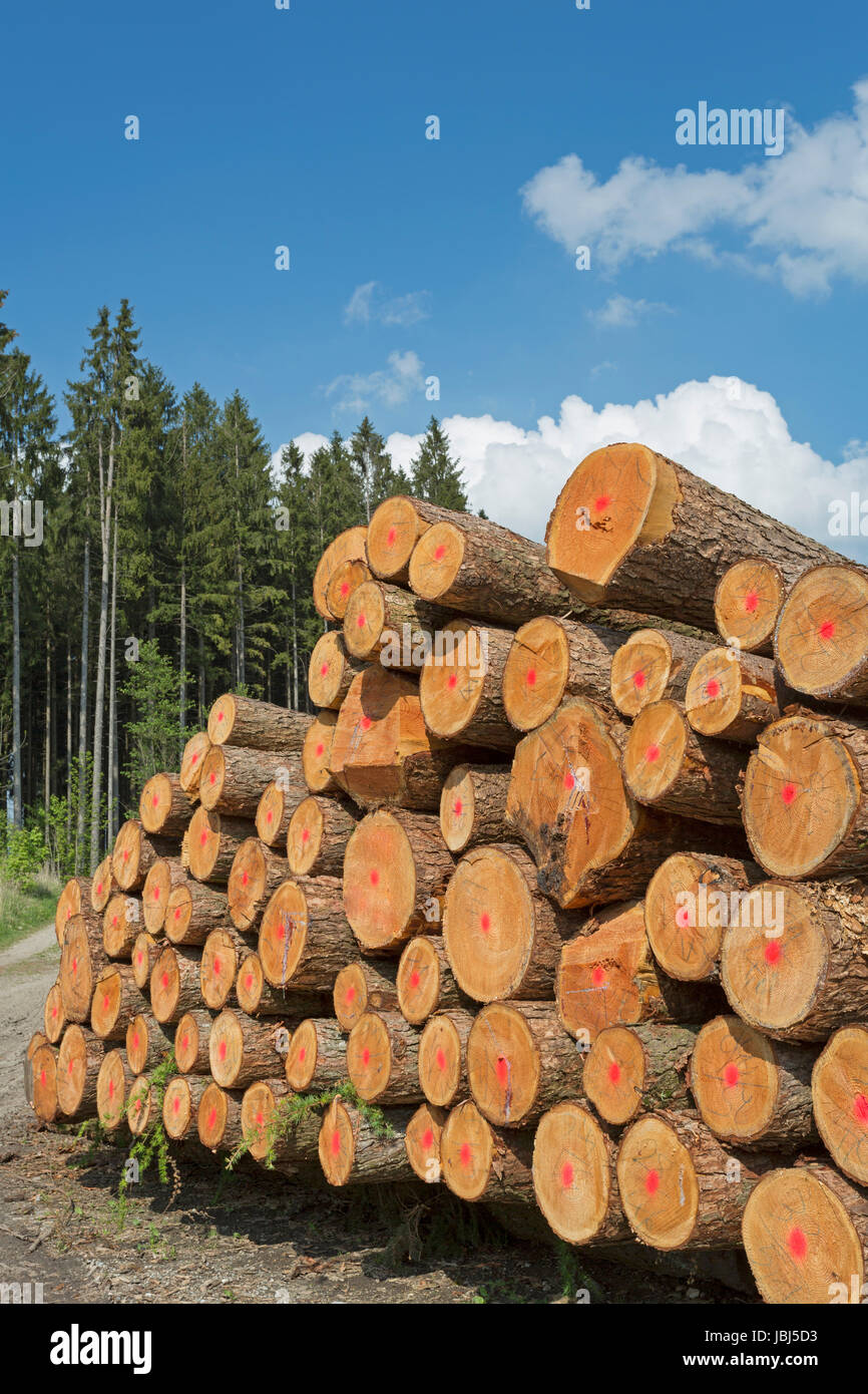 Holzwirtschaft in Deutschland Stock Photo