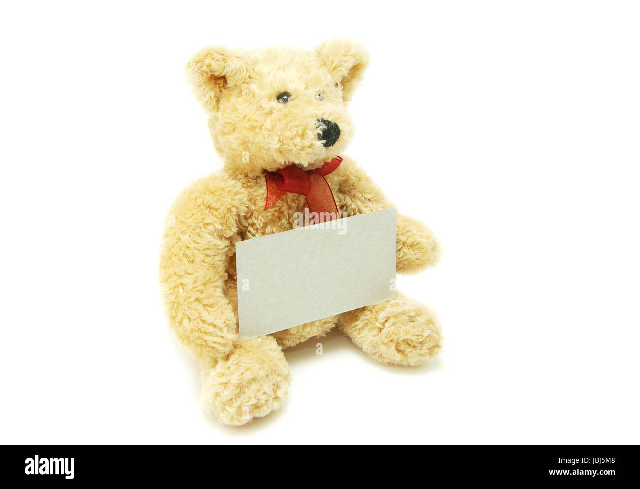 bear isolated on a white background Stock Photo - Alamy