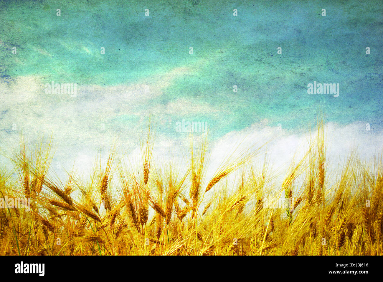 Wheat ears against the blue sky Stock Photo - Alamy