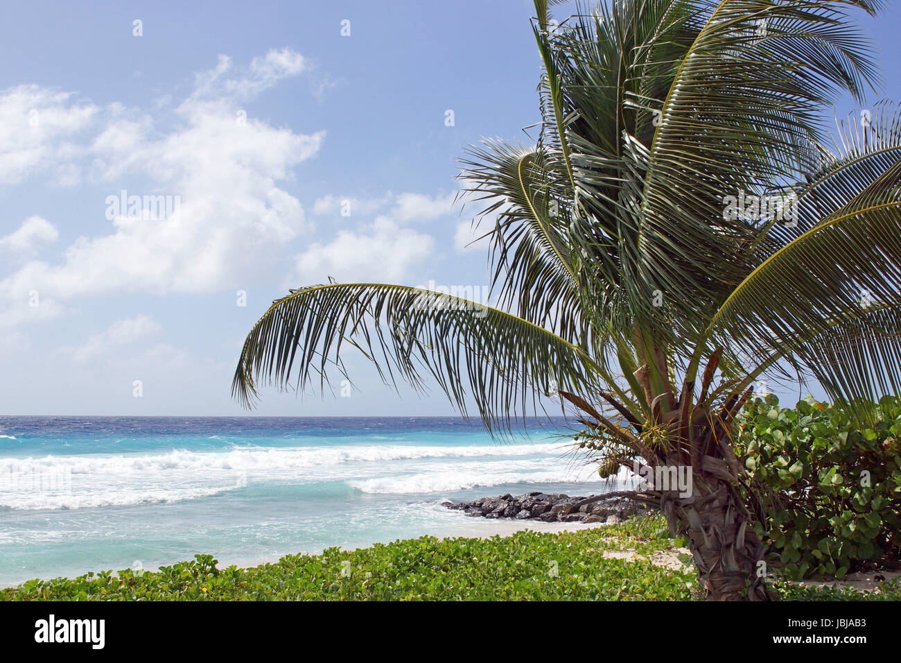 Tropical coast close to Bridgetown, Barbados, Caribbean Stock Photo