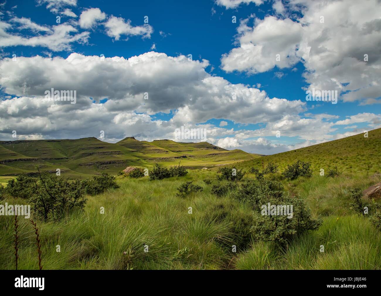 Landscape of the Drakensberge at the Mkhomazi Wilderness area in South ...
