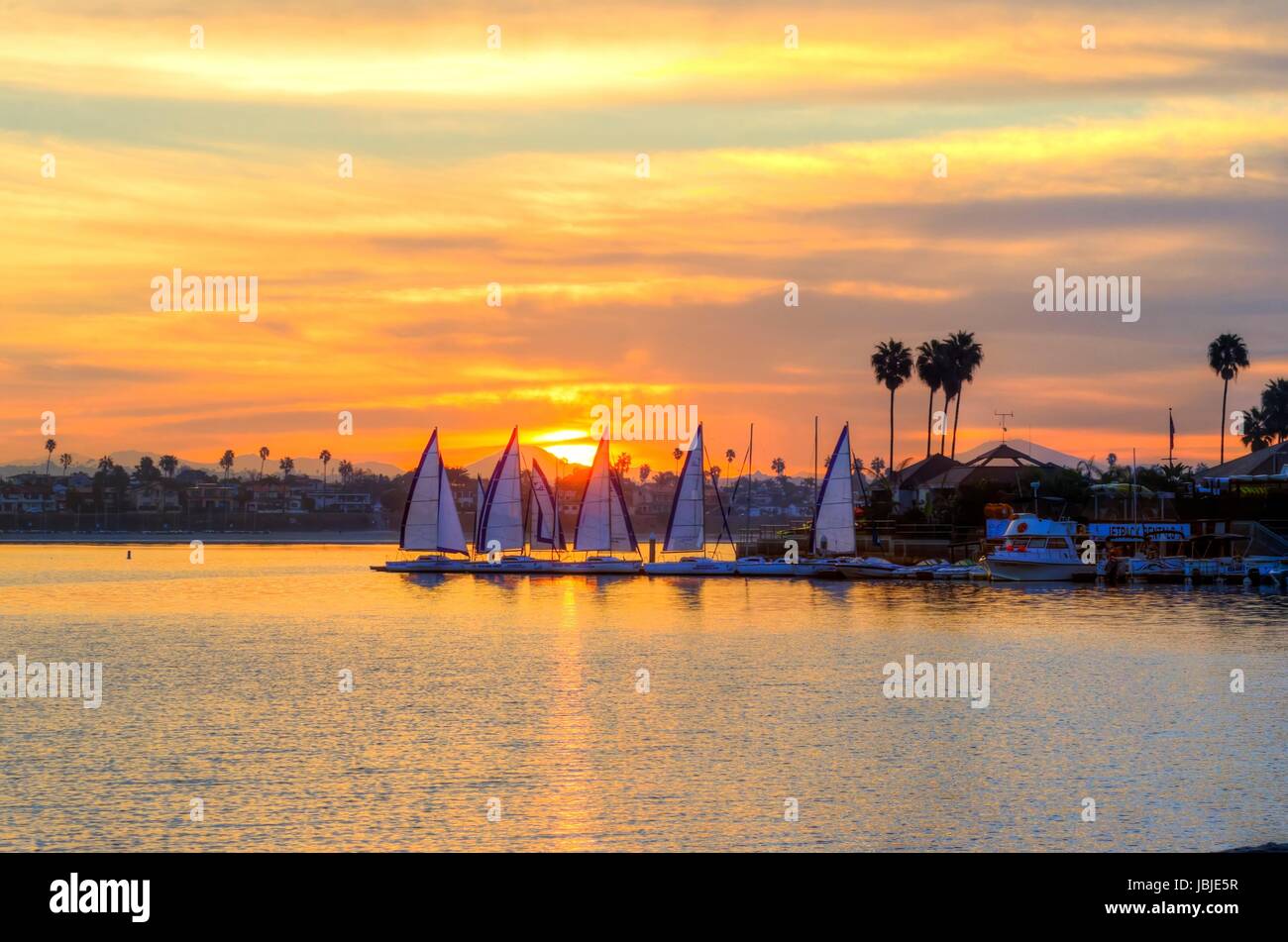 The sunrise over Sail bay in Mission Bay over the Pacific beach in San Diego, California in the United States of America. A view of the palm trees, sail boats and beautiful saltwater bay at sunset. Stock Photo