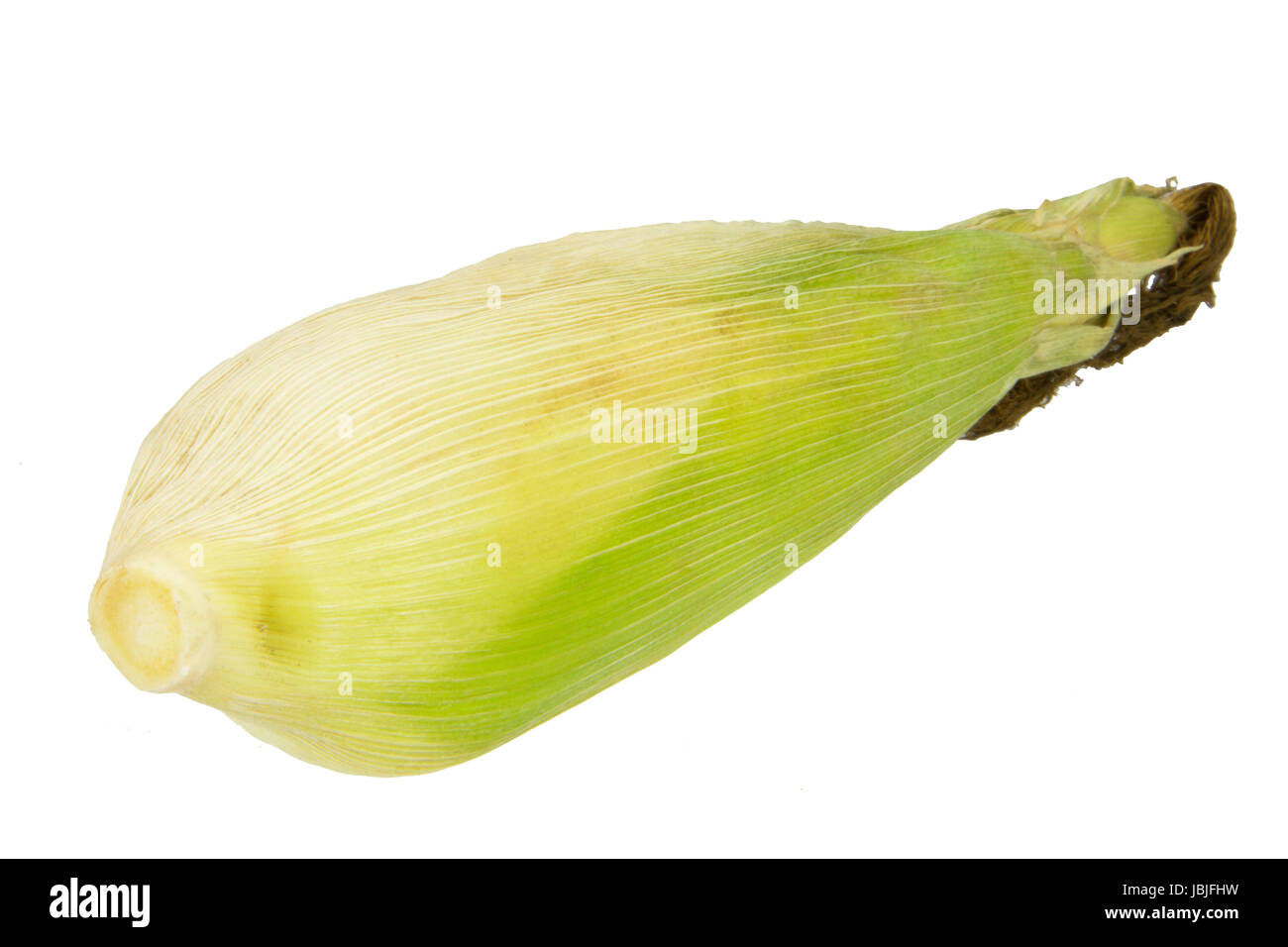 close up of fresh corn isolated on the white background Stock Photo - Alamy