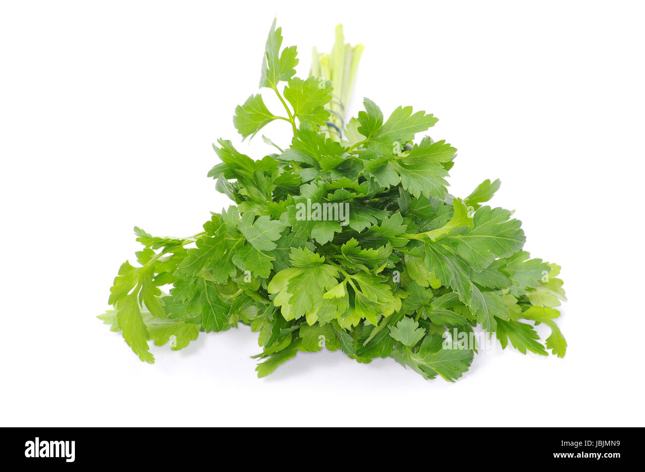 Bunch of fresh green parsley isolated on white background Stock Photo ...