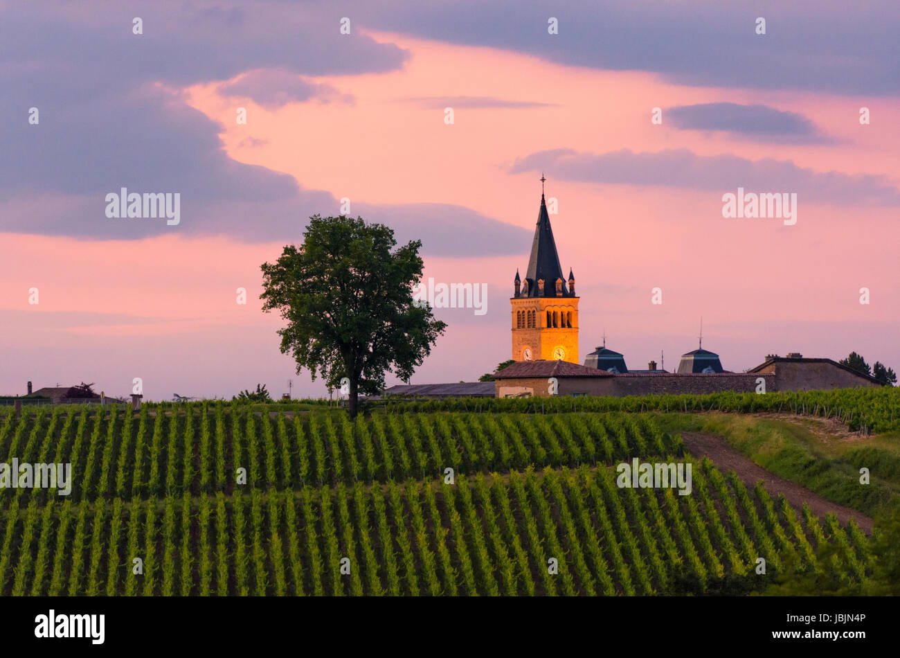 Sunset over the vineyards of the Beaujolais Region towards the village of Lancié and the Eglise Saint Julien, Rhône, Auvergne-Rhône-Alpes, France Stock Photo