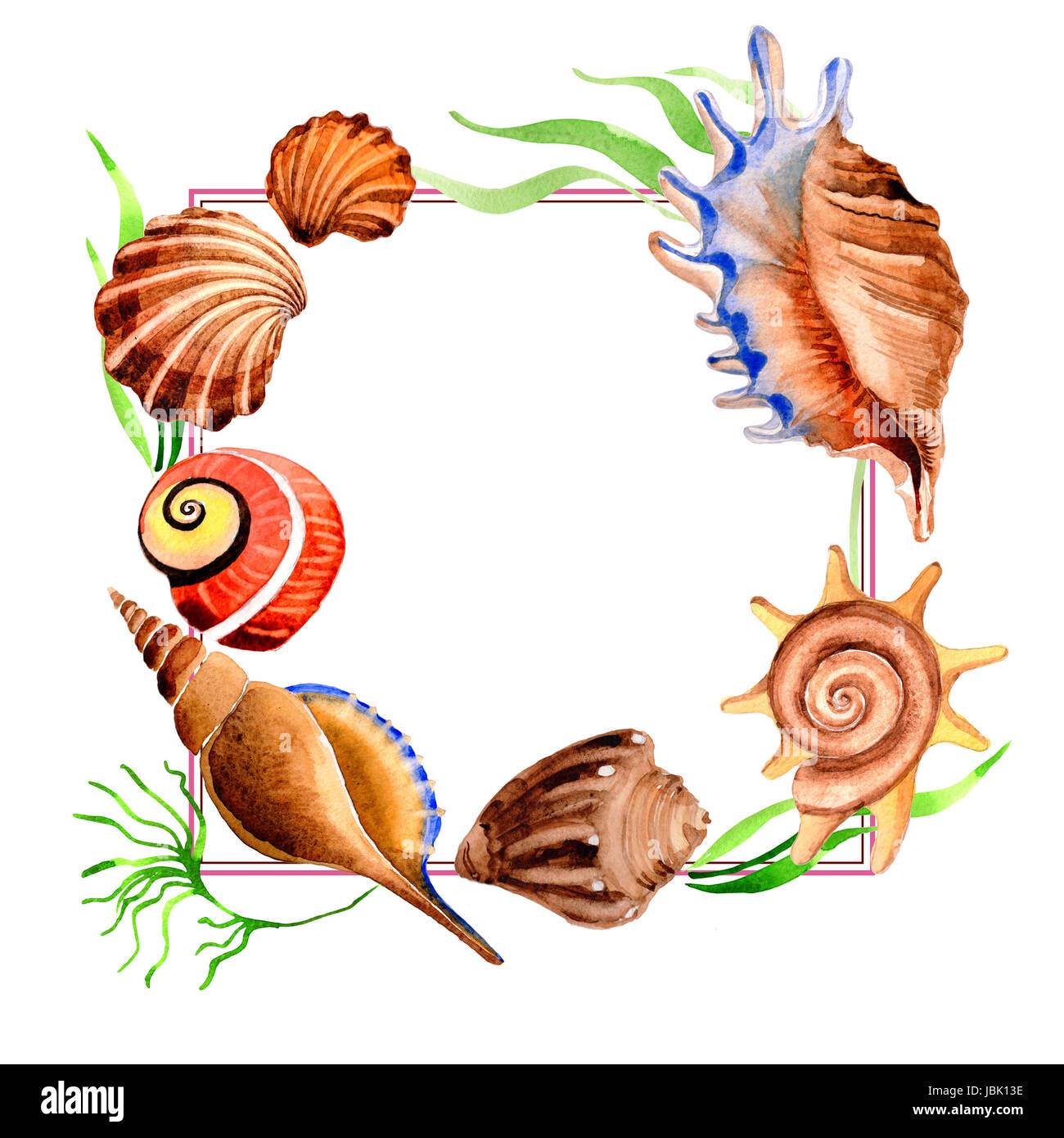 Watercolor summer beach seashell tropical elements frame. Underwater ...