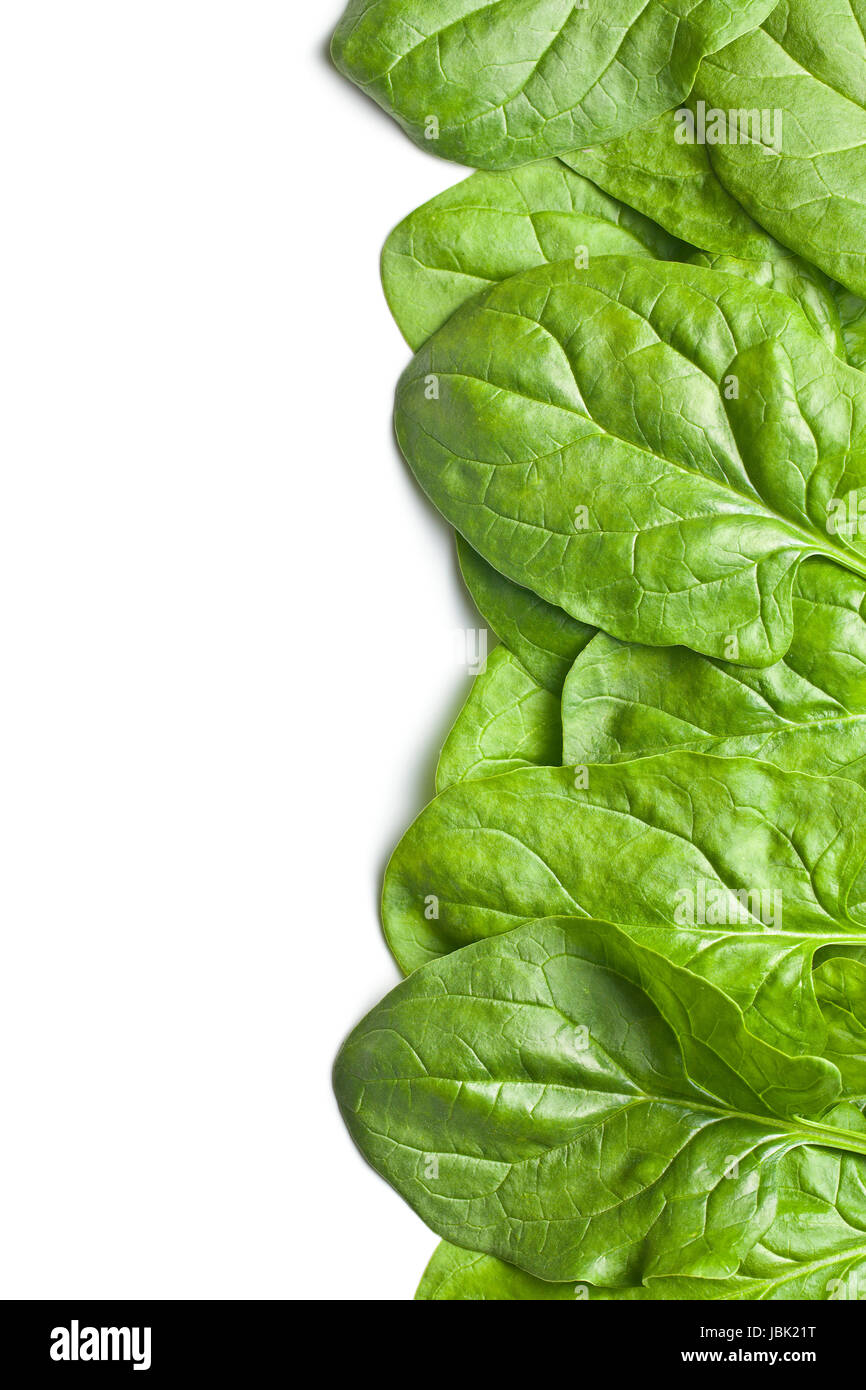 green spinach leaves on white background Stock Photo - Alamy