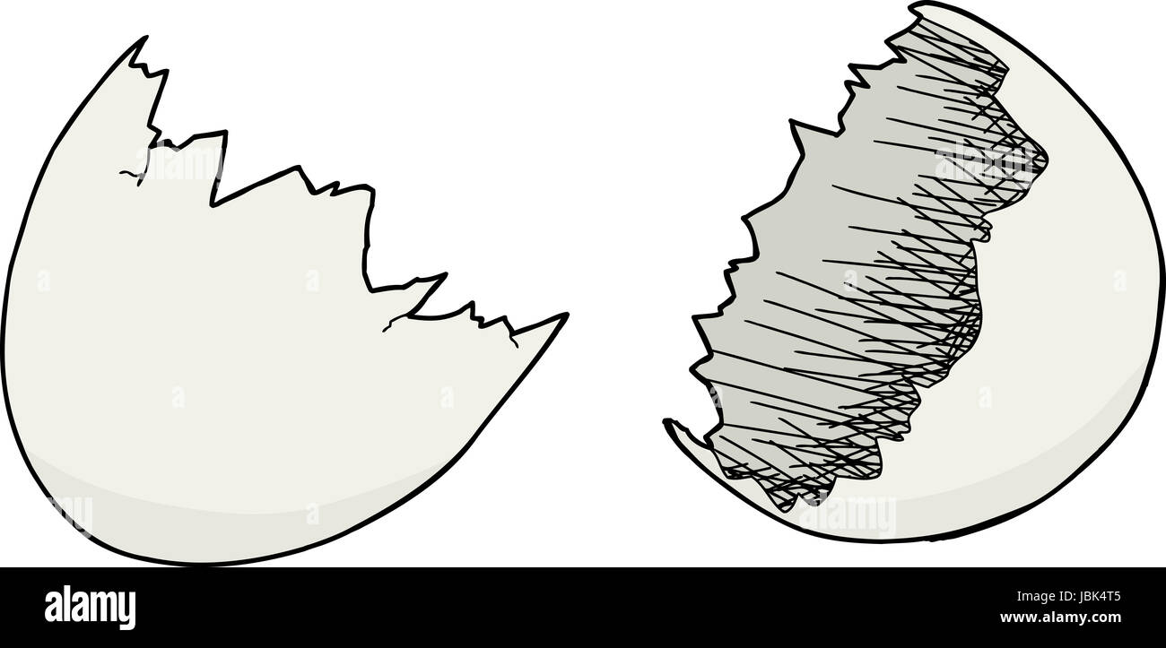 Empty egg shell halves over white background Stock Photo Alamy