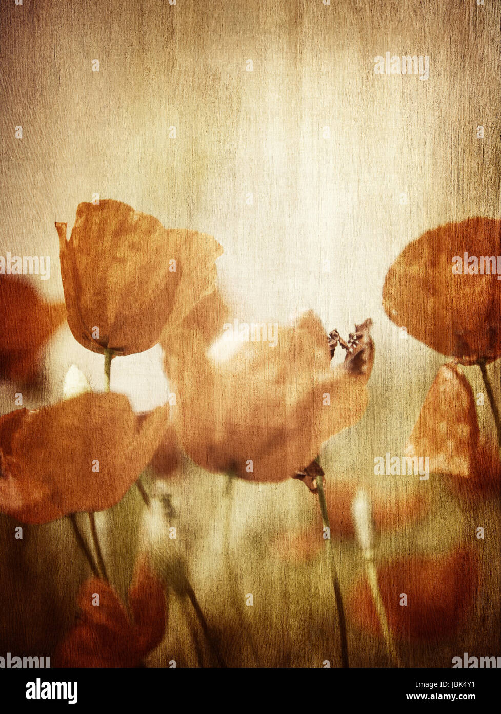 Grunge Style Photo Of Poppy Flower Field Abstract Natural Background Beautiful Textured Wallpaper Beauty Of Nature Concept Stock Photo Alamy Grunge Style Photo Of Poppy Flower Field Abstract Natural Background Beautiful Textured Wallpaper Beauty Of Nature Concept Stock Photo Alamy