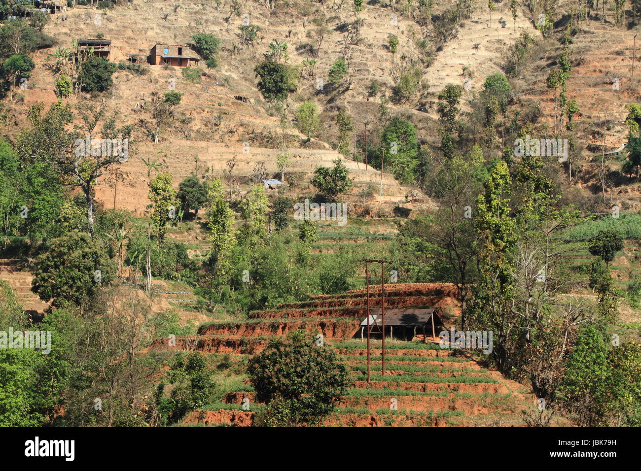 agriculture in nepal Stock Photo Alamy