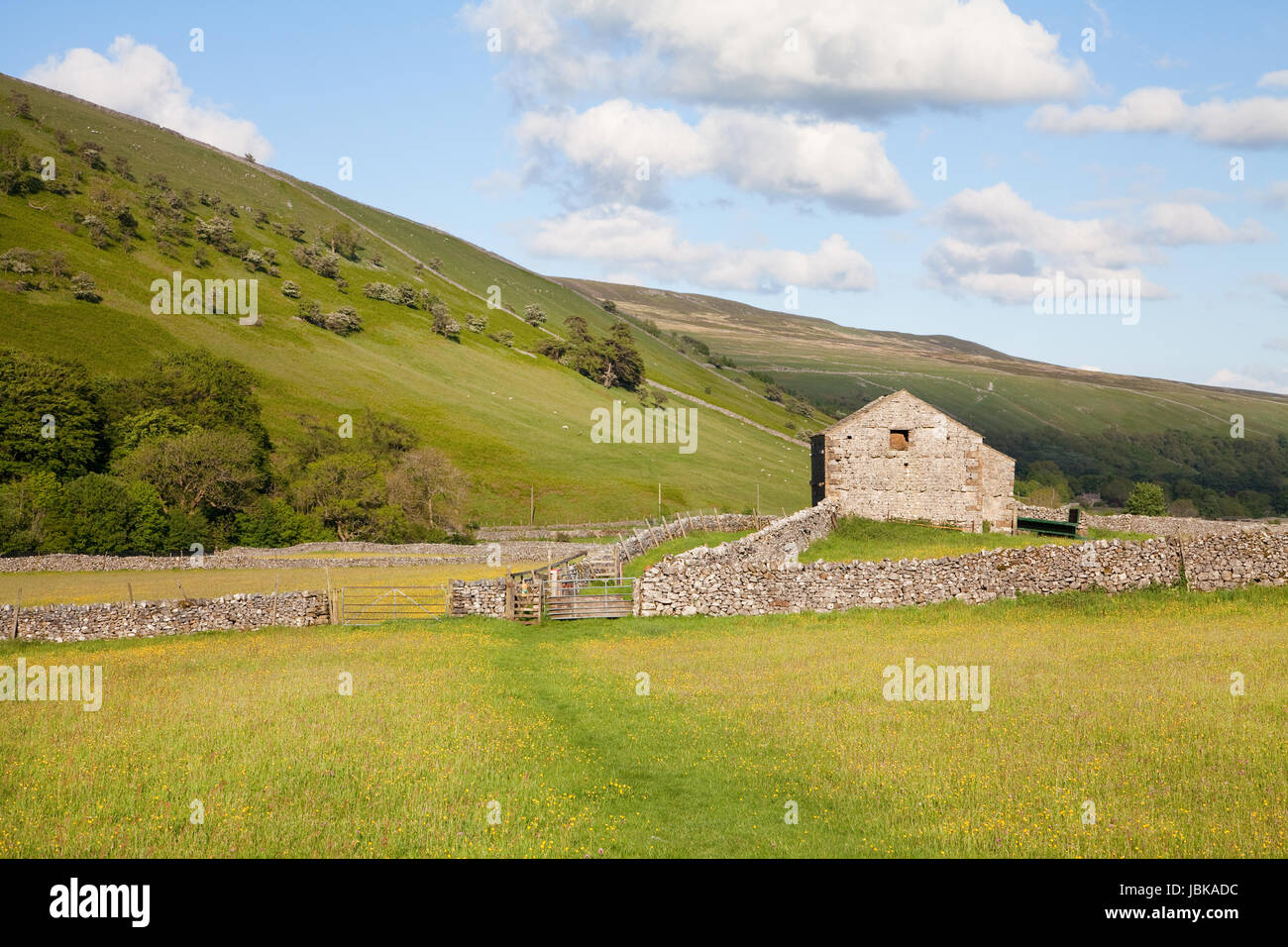 Barn in Yorkshire Dales meadows in summer, Yorkshire, UK Stock Photo