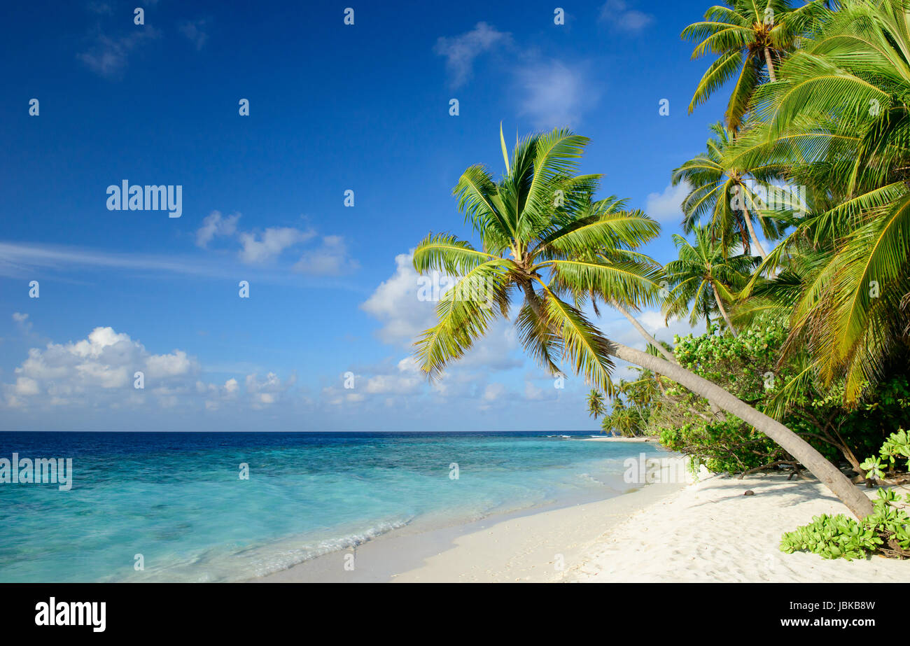 dream beach Stock Photo - Alamy