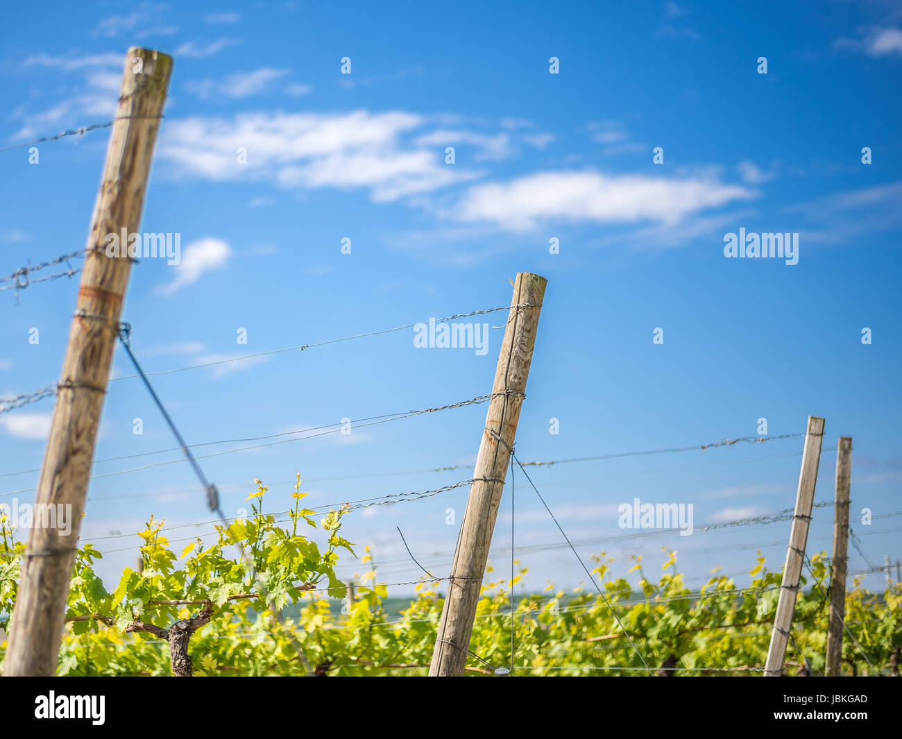 agrarian bucolic Stock Photo