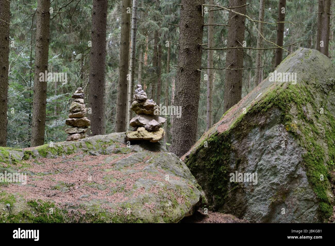 Felsbloecke und kleine Steine mitten im Wald Stock Photo