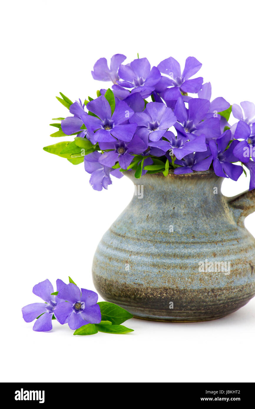 Beautiful spring flowers in a vase on white background Stock Photo - Alamy