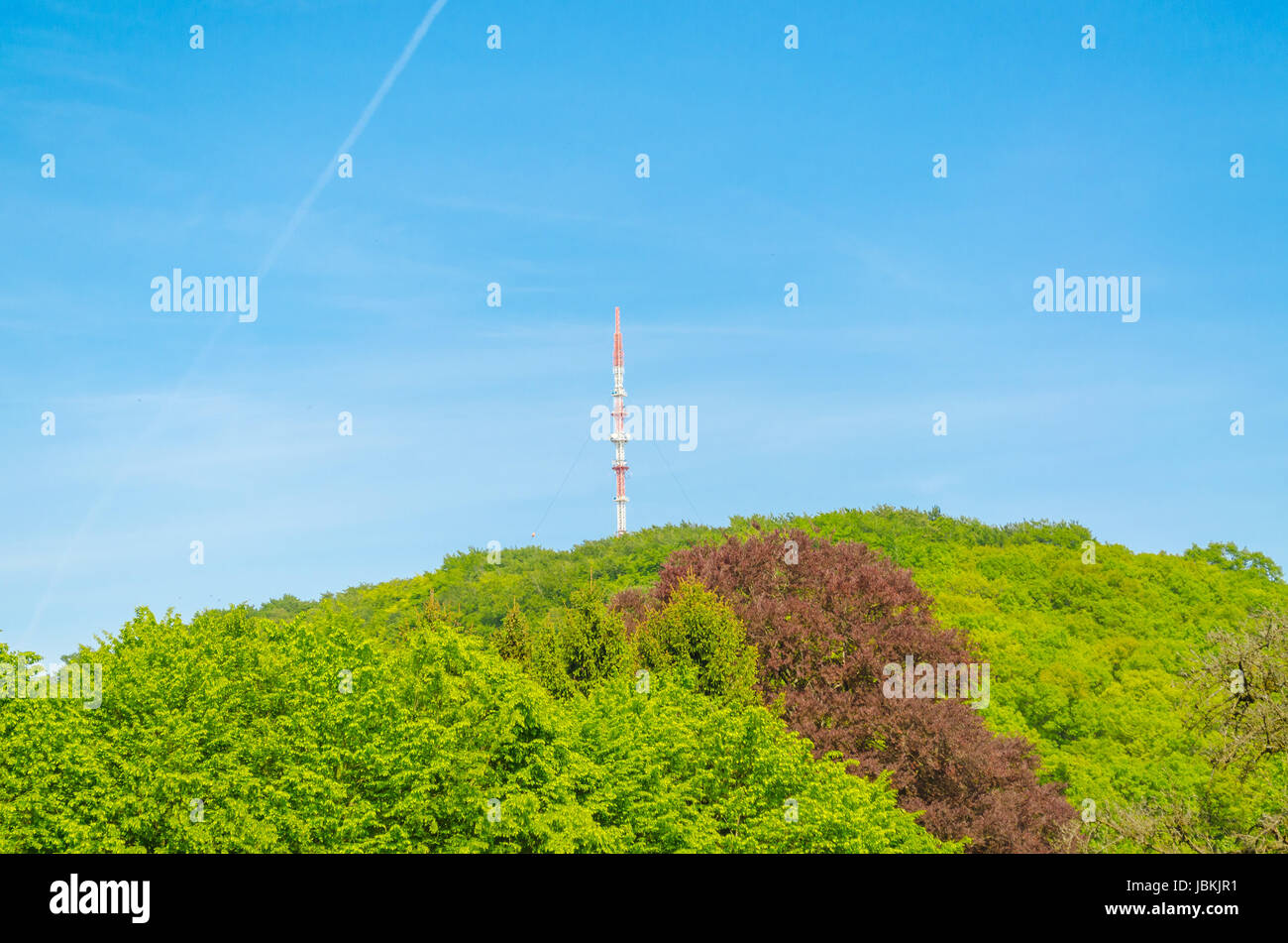Rundfunksendemast auf einem Waldhügel vor blauem Himmel Stock Photo