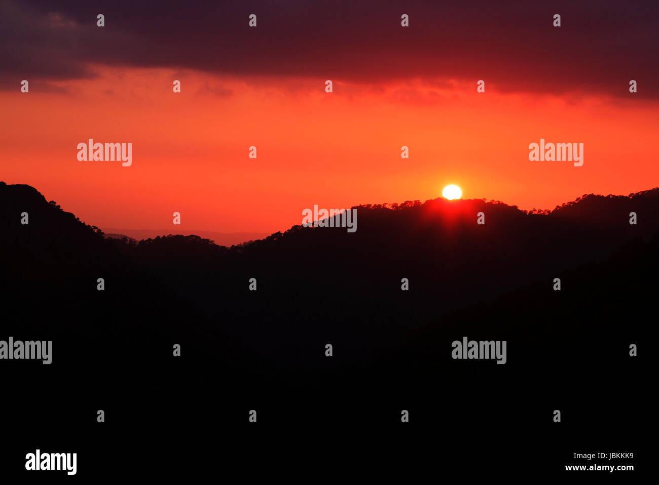 The sun setting behind the forest silhouette on Mount Olympus in the Troodos mountain range, Cyprus. Stock Photo