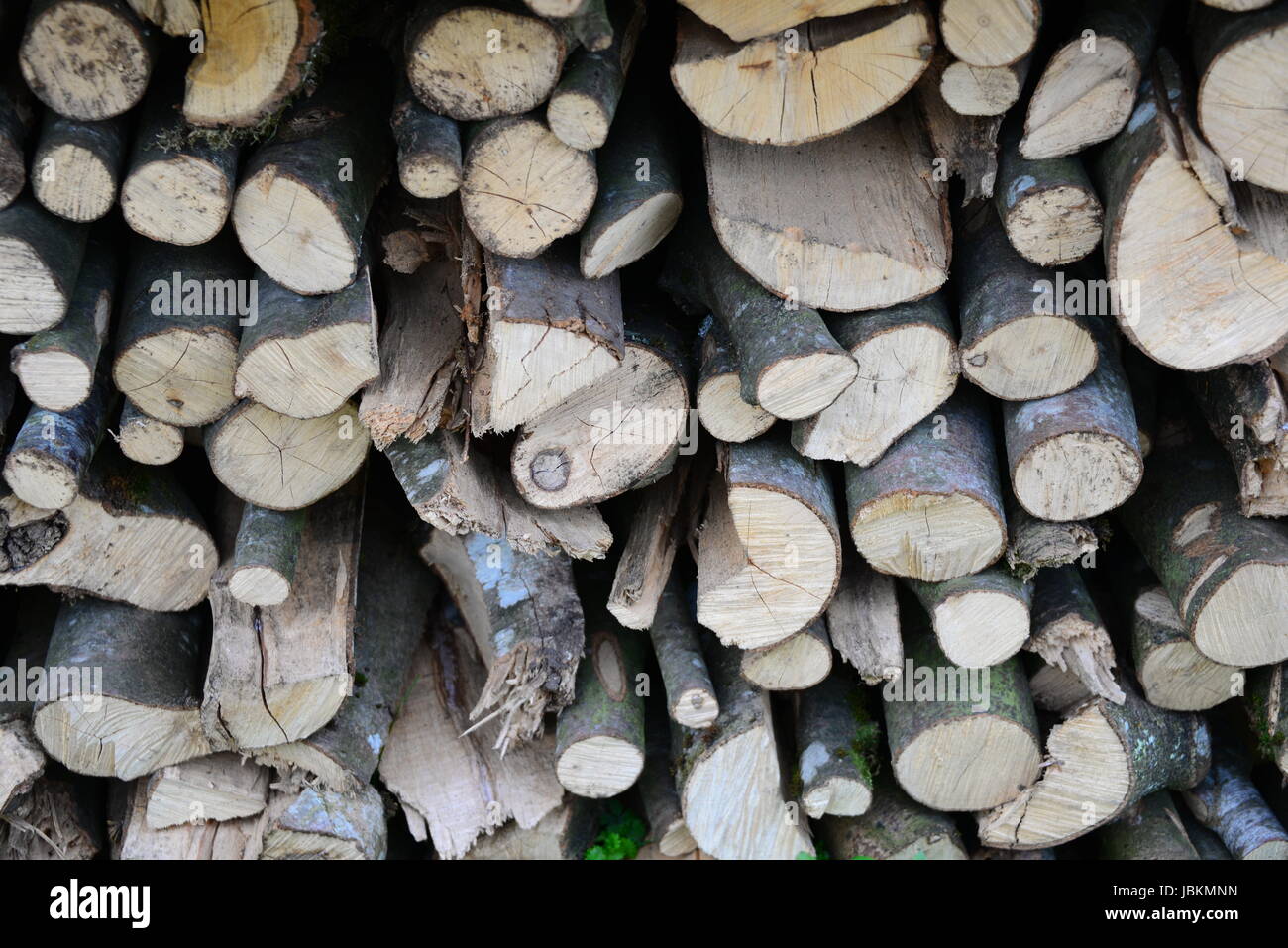 covered wood Stock Photo