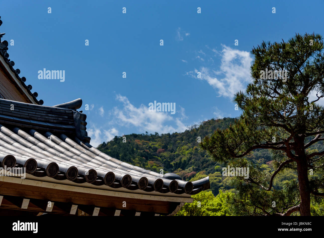 Roof details of Karamon gate Nijo castle. Stock Photo