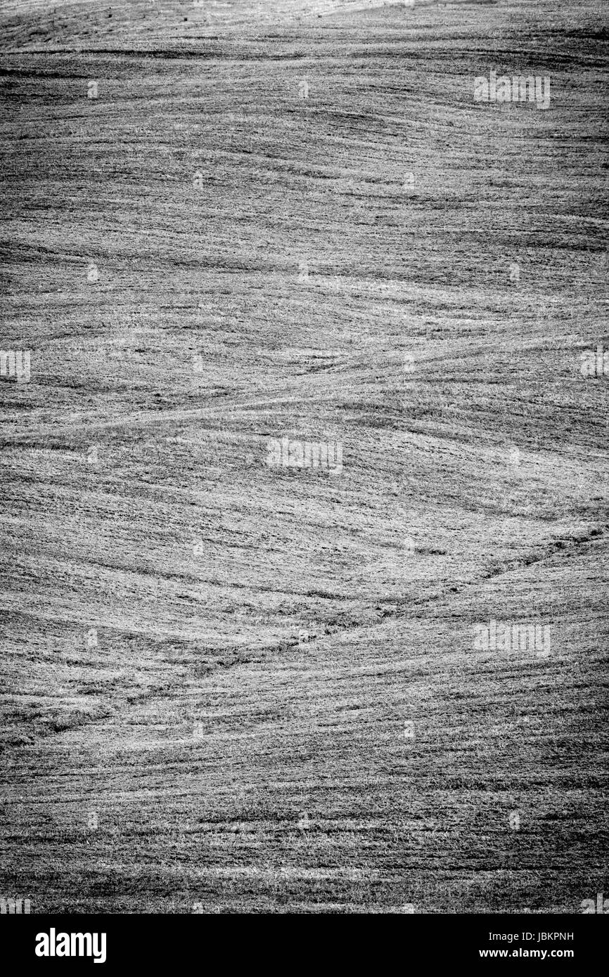 Mud grass background Black and White Stock Photos & Images - Alamy