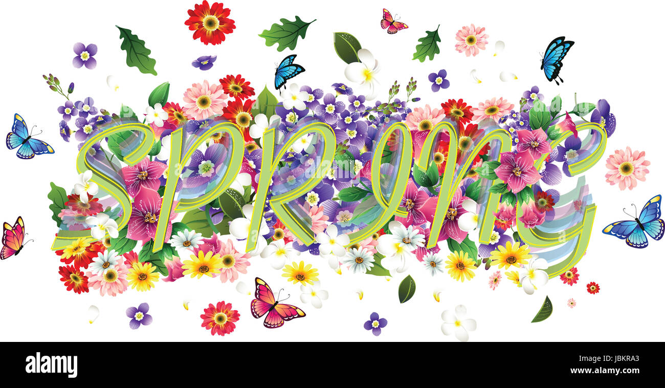 Spring, flowers and butterfly on isolated background Stock Photo - Alamy