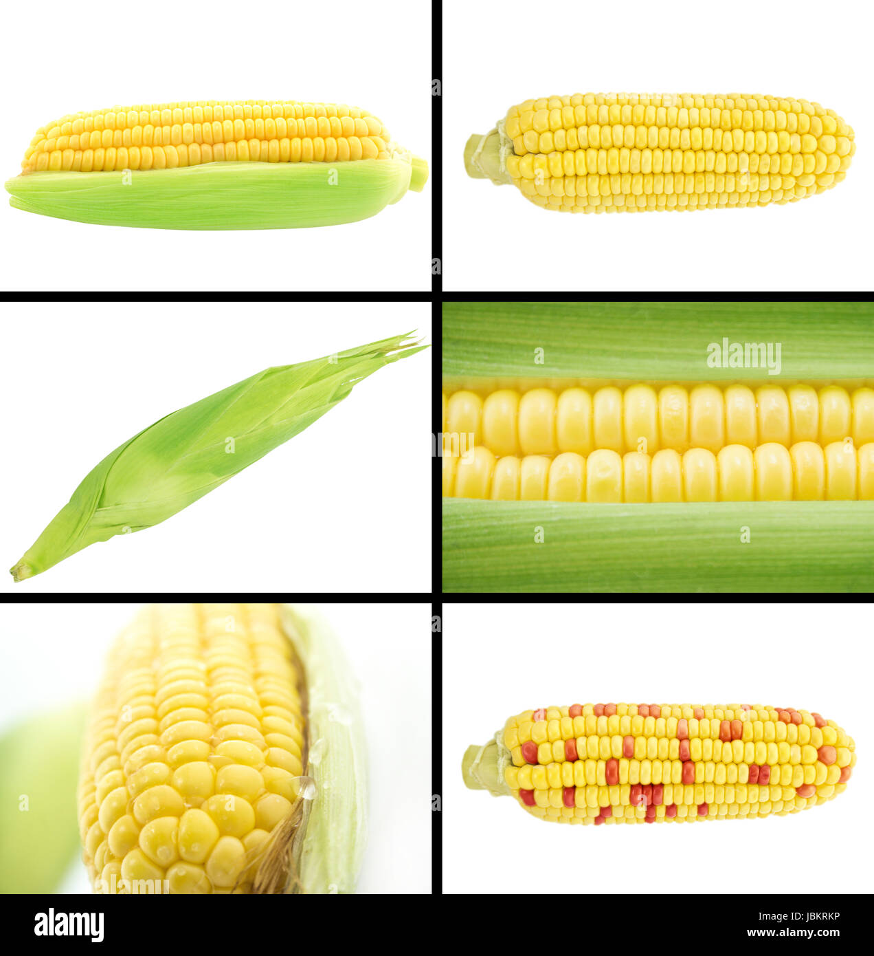 Healthy and organic food, Set of fresh corn and ear of corn Stock Photo ...
