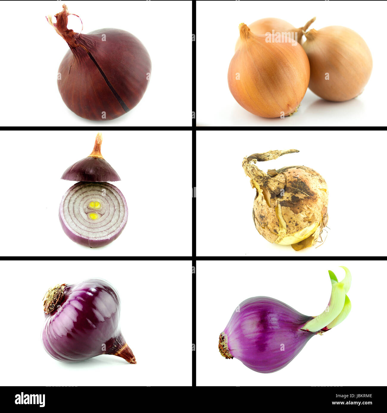 Healthy and organic food, Set of fresh Onion Stock Photo - Alamy
