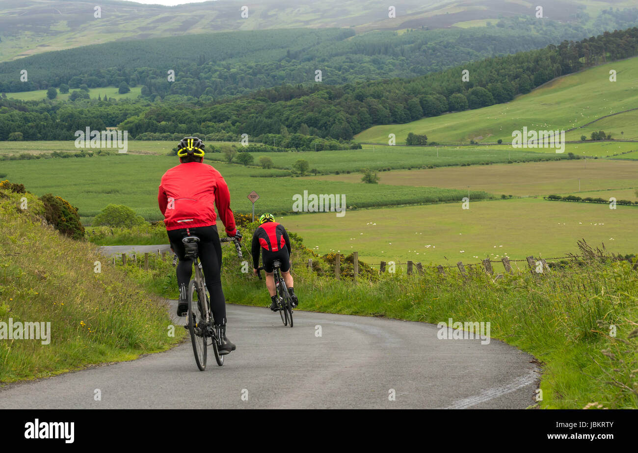 Cyclists racing down Dreva Hill, long distance Tweedlove Skinny Tweed cycling event 2017, Peebles, Scottish Borders, Scotland, UK Stock Photo