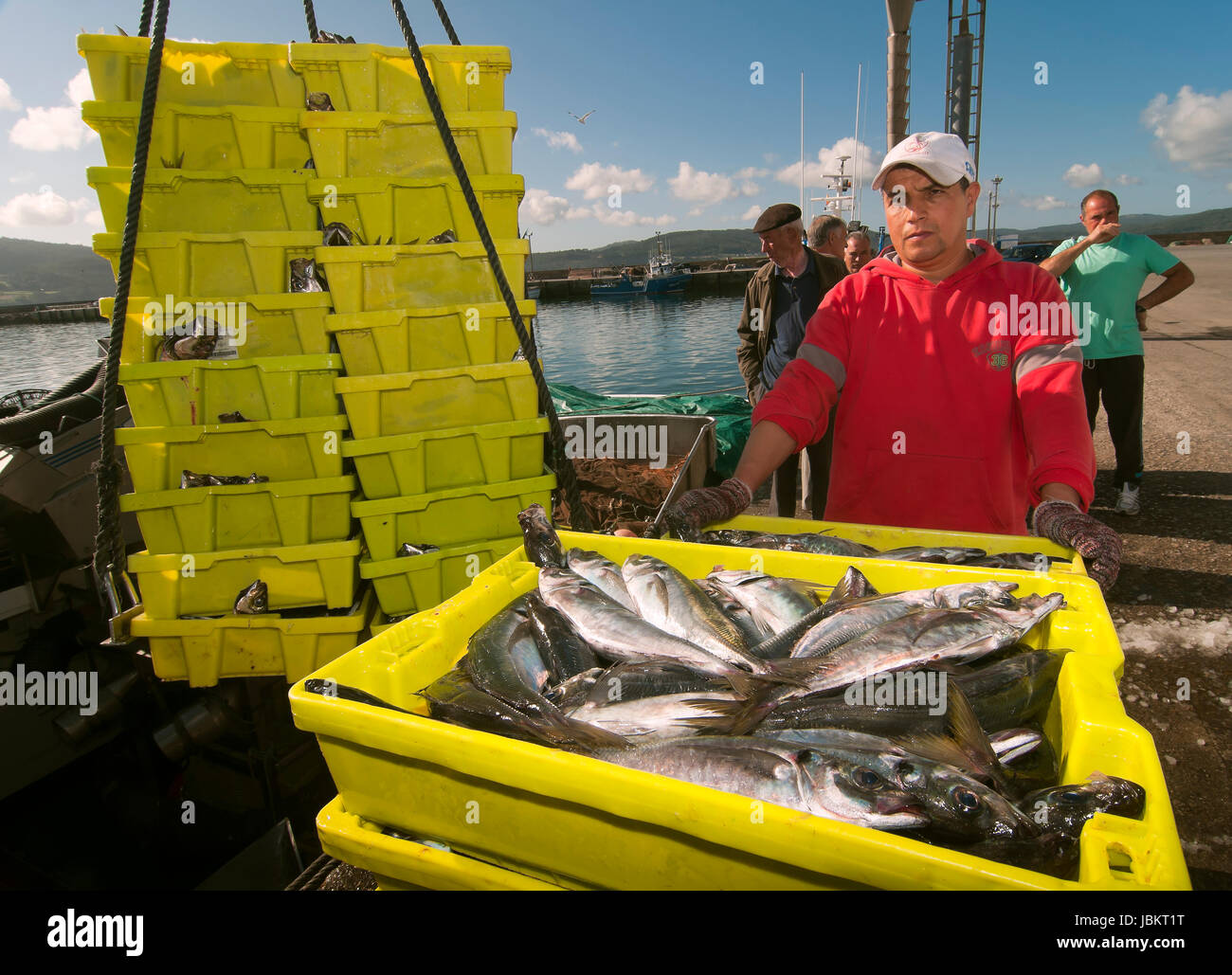 Fishing boat unloading, Camarinas, La Coruna province, Region of Galicia, Spain, Europe Stock Photo