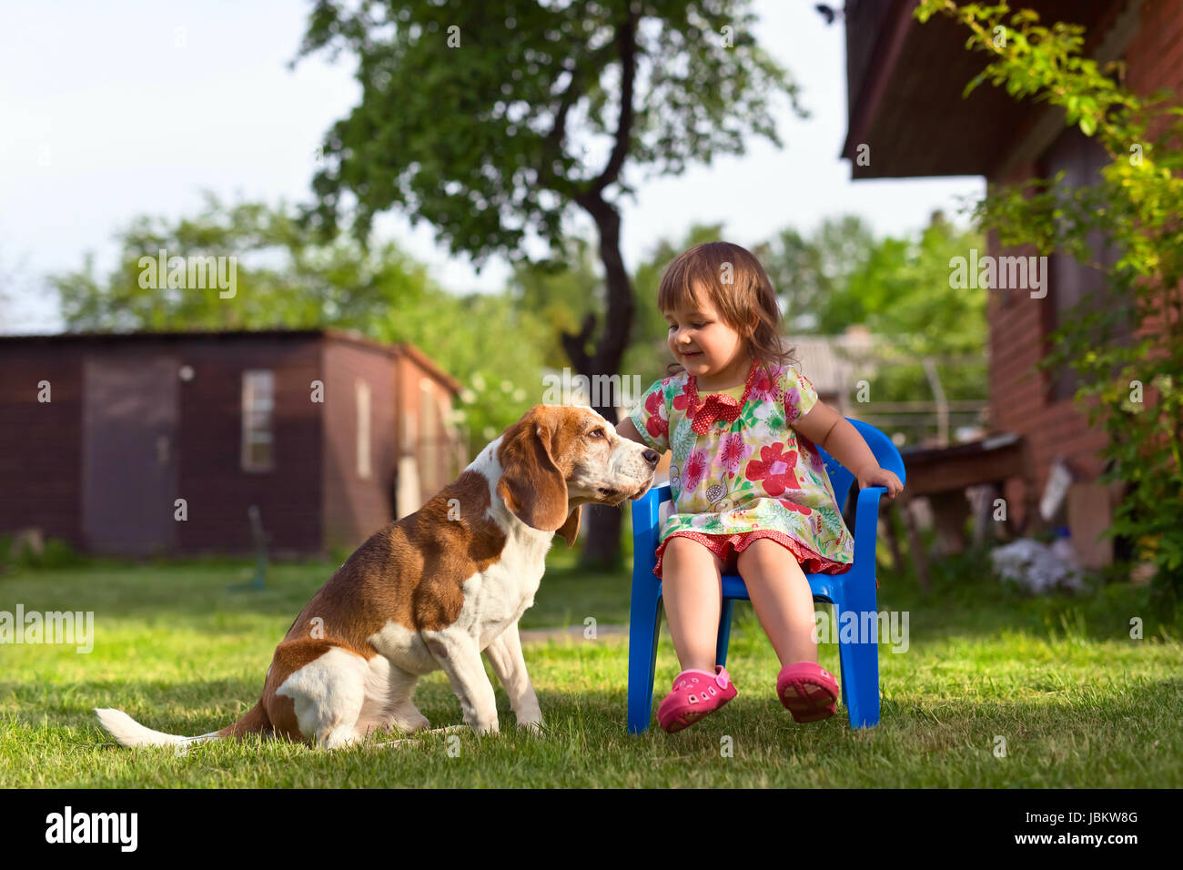 Little girl playing with a dog on the lawn . Summer holidays in the ...