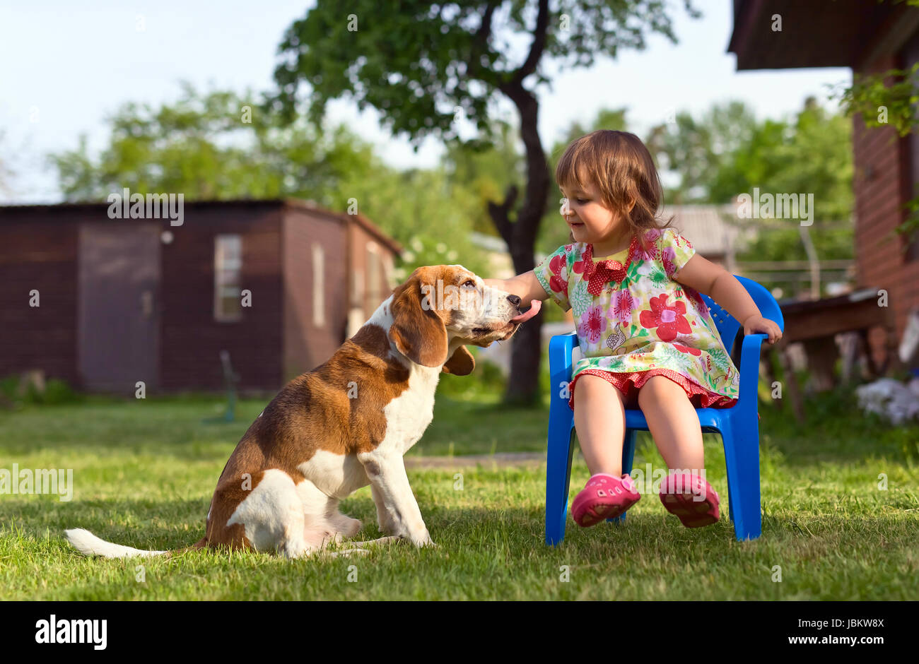 Little girl playing with a dog on the lawn . Summer holidays in the ...