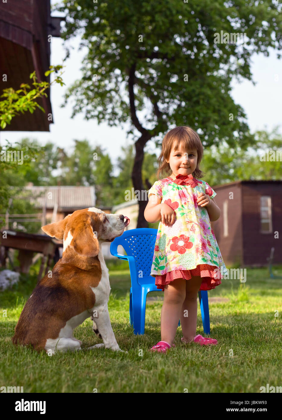 Little girl playing with a dog on the lawn . Summer holidays in the ...