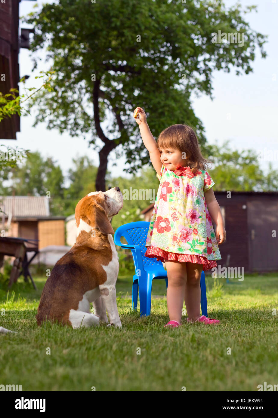 Little girl playing with a dog on the lawn . Summer holidays in the ...