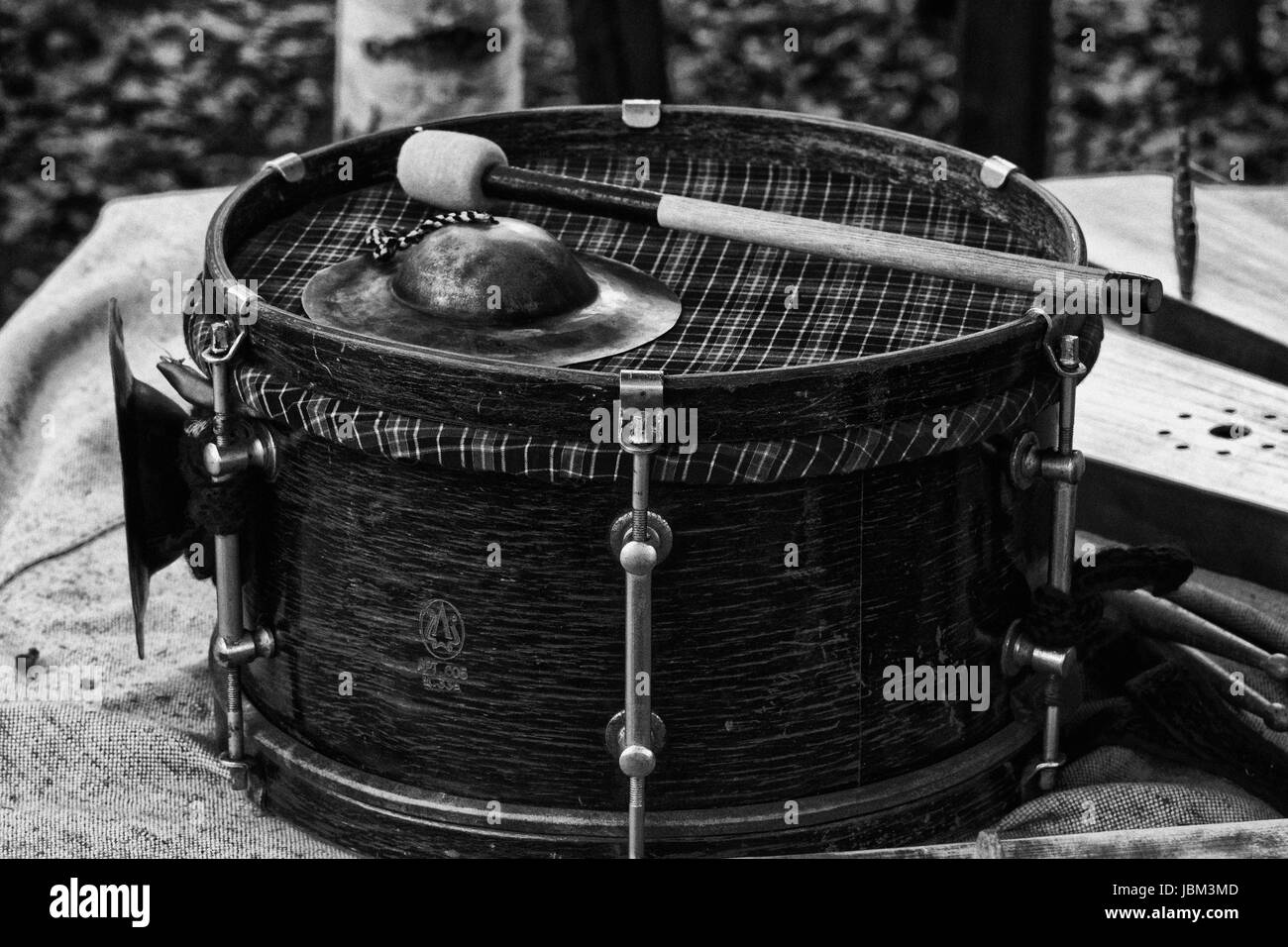 Collection of old musical instruments Black and White Stock Photos