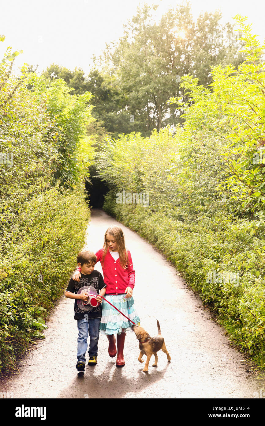 Boy and girl brother and sister walking puppy dog on leash on tree lined park path Stock Photo